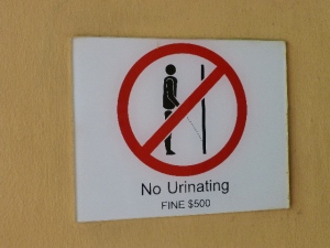No peeing please!